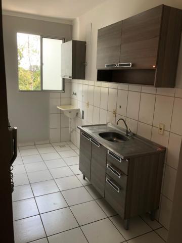 Alugar Apartamento / Padrão em São José do Rio Preto R$ 750,00 - Foto 4 Alugar Apartamento / Padrão em São José do Rio Preto R$ 750,00 - Foto 4