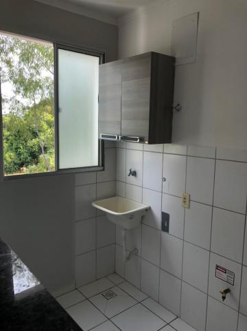 Alugar Apartamento / Padrão em São José do Rio Preto R$ 750,00 - Foto 5 Alugar Apartamento / Padrão em São José do Rio Preto R$ 750,00 - Foto 5
