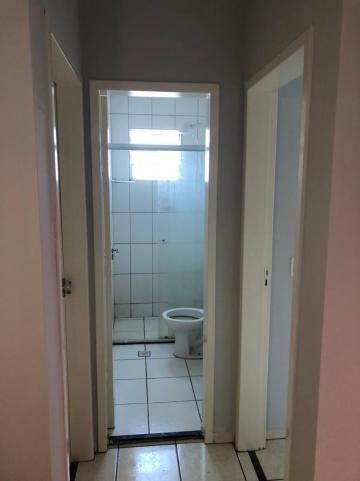 Alugar Apartamento / Padrão em São José do Rio Preto R$ 750,00 - Foto 6 Alugar Apartamento / Padrão em São José do Rio Preto R$ 750,00 - Foto 6