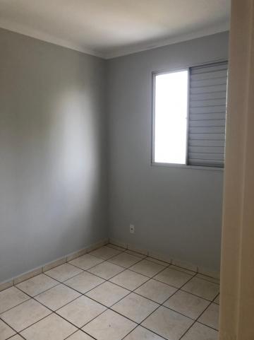 Alugar Apartamento / Padrão em São José do Rio Preto R$ 750,00 - Foto 7 Alugar Apartamento / Padrão em São José do Rio Preto R$ 750,00 - Foto 7
