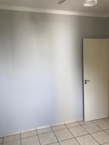 Alugar Apartamento / Padrão em São José do Rio Preto R$ 750,00 - Foto 8 Alugar Apartamento / Padrão em São José do Rio Preto R$ 750,00 - Foto 8