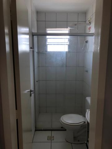 Alugar Apartamento / Padrão em São José do Rio Preto R$ 750,00 - Foto 9 Alugar Apartamento / Padrão em São José do Rio Preto R$ 750,00 - Foto 9
