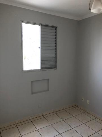 Alugar Apartamento / Padrão em São José do Rio Preto R$ 750,00 - Foto 10 Alugar Apartamento / Padrão em São José do Rio Preto R$ 750,00 - Foto 10