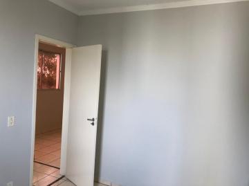Alugar Apartamento / Padrão em São José do Rio Preto R$ 750,00 - Foto 11 Alugar Apartamento / Padrão em São José do Rio Preto R$ 750,00 - Foto 11