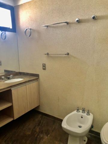 Alugar Apartamento / Padrão em São José do Rio Preto R$ 2.500,00 - Foto 12 Alugar Apartamento / Padrão em São José do Rio Preto R$ 2.500,00 - Foto 12