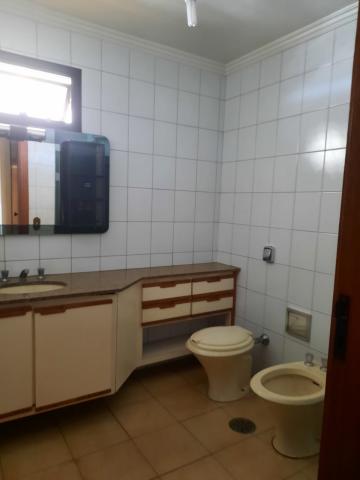 Alugar Apartamento / Padrão em São José do Rio Preto R$ 2.000,00 - Foto 13 Alugar Apartamento / Padrão em São José do Rio Preto R$ 2.000,00 - Foto 13