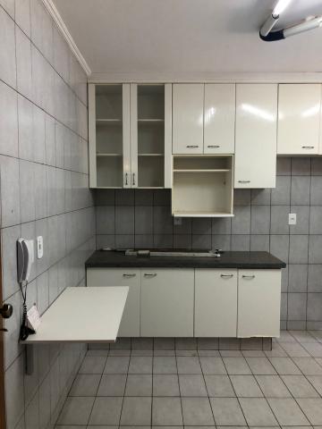 Alugar Apartamento / Padrão em São José do Rio Preto R$ 1.300,00 - Foto 7 Alugar Apartamento / Padrão em São José do Rio Preto R$ 1.300,00 - Foto 7