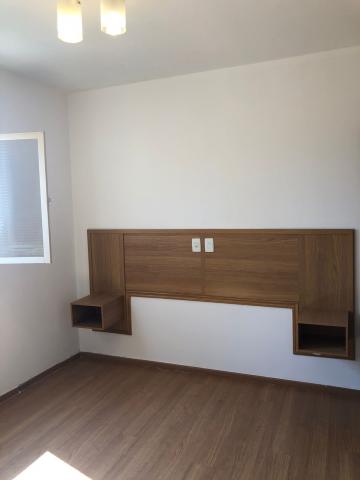 Alugar Apartamento / Padrão em São José do Rio Preto R$ 1.300,00 - Foto 10 Alugar Apartamento / Padrão em São José do Rio Preto R$ 1.300,00 - Foto 10