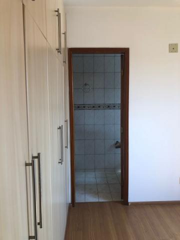 Alugar Apartamento / Padrão em São José do Rio Preto R$ 1.300,00 - Foto 13 Alugar Apartamento / Padrão em São José do Rio Preto R$ 1.300,00 - Foto 13