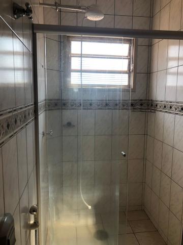 Alugar Apartamento / Padrão em São José do Rio Preto R$ 1.300,00 - Foto 15 Alugar Apartamento / Padrão em São José do Rio Preto R$ 1.300,00 - Foto 15