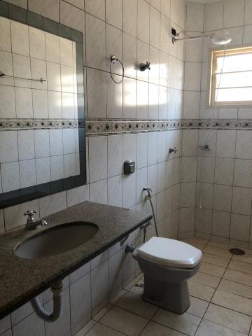 Alugar Apartamento / Padrão em São José do Rio Preto R$ 1.300,00 - Foto 19 Alugar Apartamento / Padrão em São José do Rio Preto R$ 1.300,00 - Foto 19