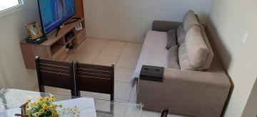 Alugar Apartamento / Padrão em São José do Rio Preto. apenas R$ 1.000,00