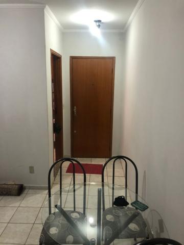 imagem 1 - Apartamento - Padrão imagem 1 - Apartamento - Padrão