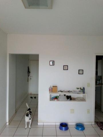 imagem 3 - Apartamento - Padrão imagem 3 - Apartamento - Padrão
