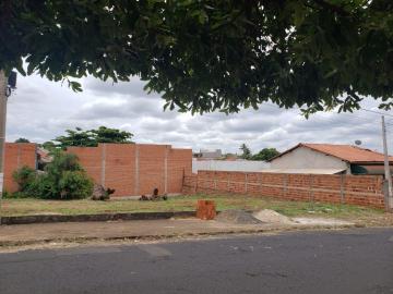 imagem 4 - Terreno - Padrão imagem 4 - Terreno - Padrão