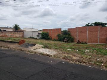 imagem 5 - Terreno - Padrão imagem 5 - Terreno - Padrão