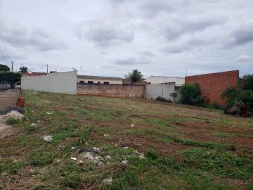 imagem 1 - Terreno - Padrão imagem 1 - Terreno - Padrão