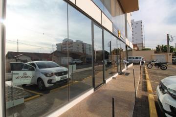 Alugar Comercial / Sala/Loja Condomínio em São José do Rio Preto. apenas R$ 1.600,00