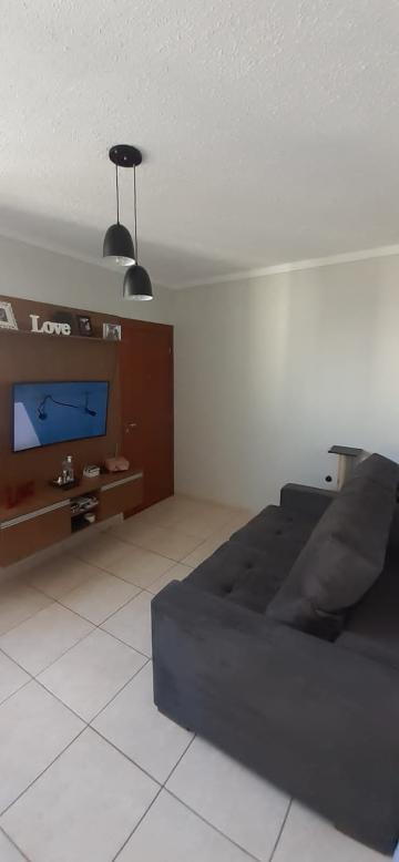 Alugar Apartamento / Padrão em São José do Rio Preto. apenas R$ 900,00