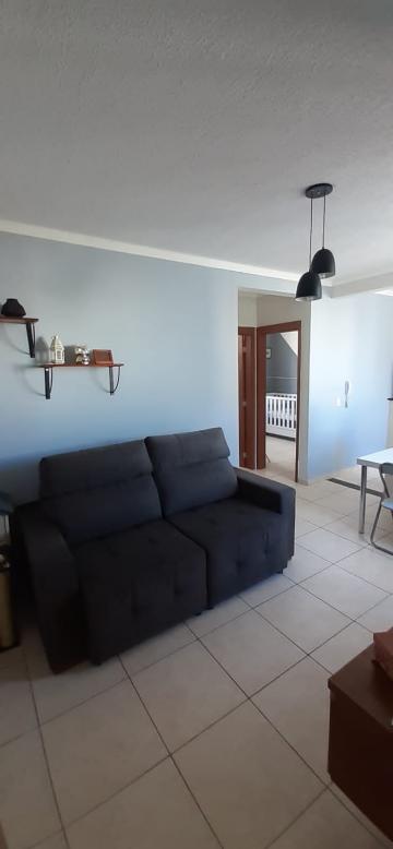 imagem 2 - Apartamento - Padrão imagem 2 - Apartamento - Padrão