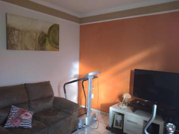 imagem 5 - Casa - Padrão imagem 5 - Casa - Padrão