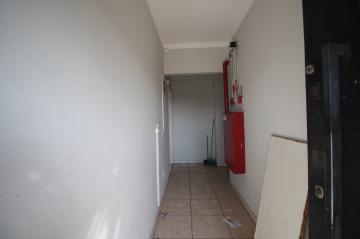 imagem 3 - Comercial - Barracão imagem 3 - Comercial - Barracão