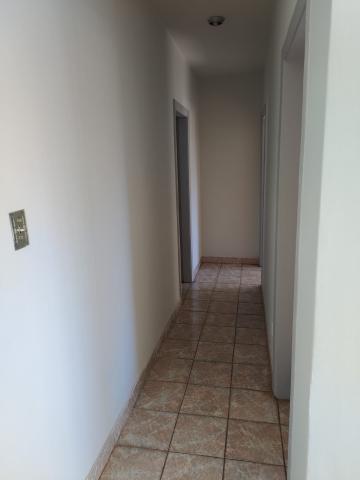 imagem 3 - Apartamento - Padrão imagem 3 - Apartamento - Padrão