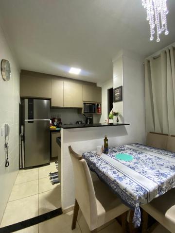 imagem 4 - Apartamento - Padrão imagem 4 - Apartamento - Padrão