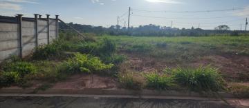 imagem 1 - Terreno - Padrão imagem 1 - Terreno - Padrão