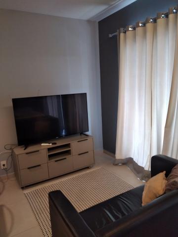 Alugar Apartamento / Flat em São José do Rio Preto. apenas R$ 2.200,00