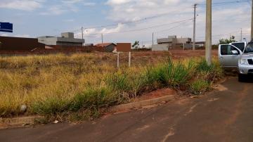 imagem 2 - Terreno - Padrão imagem 2 - Terreno - Padrão