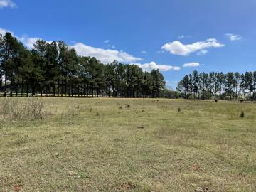 imagem 3 - Terreno - Área imagem 3 - Terreno - Área