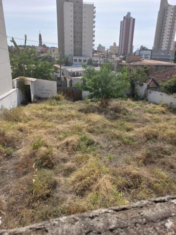 imagem 1 - Terreno - Padrão imagem 1 - Terreno - Padrão