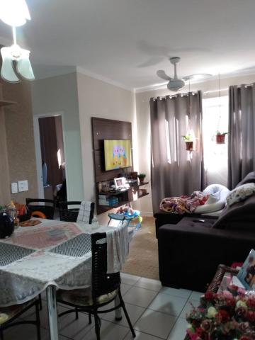 imagem 1 - Apartamento - Padrão imagem 1 - Apartamento - Padrão