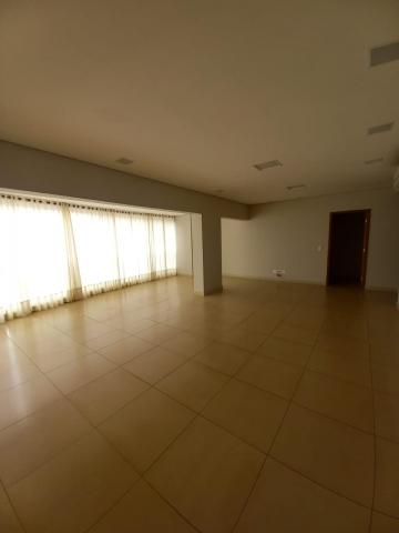 Alugar Apartamento / Padrão em São José do Rio Preto. apenas R$ 4.200,00