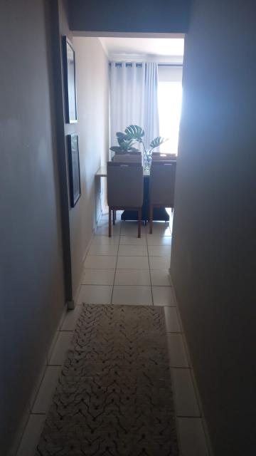 imagem 2 - Apartamento - Padrão imagem 2 - Apartamento - Padrão