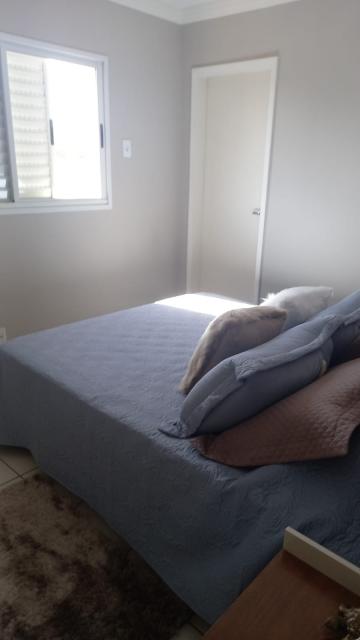 imagem 3 - Apartamento - Padrão imagem 3 - Apartamento - Padrão