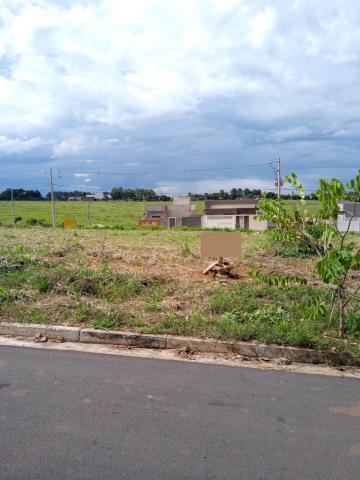 Alugar Terreno / Padrão em São José do Rio Preto. apenas R$ 110.000,00