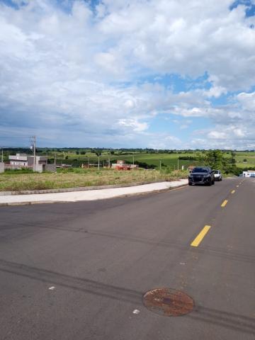 imagem 3 - Terreno - Padrão imagem 3 - Terreno - Padrão