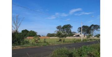 Barretos Bairro Jardim Anastacio Terreno Venda R$720.000,00  Area do terreno 1200.00m2 