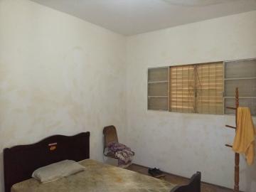 imagem 5 - Casa - Padrão imagem 5 - Casa - Padrão