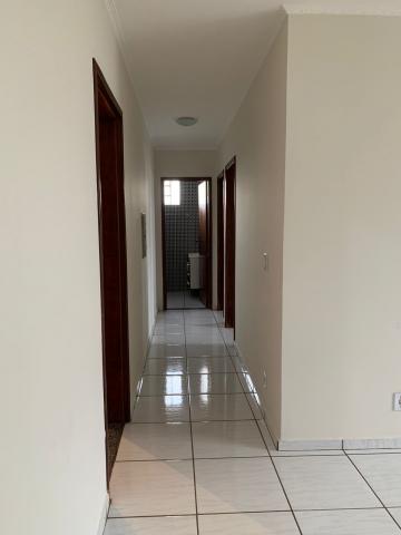 imagem 3 - Apartamento - Padrão imagem 3 - Apartamento - Padrão