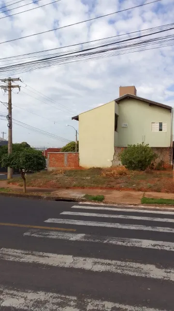 imagem 2 - Terreno - Padrão imagem 2 - Terreno - Padrão