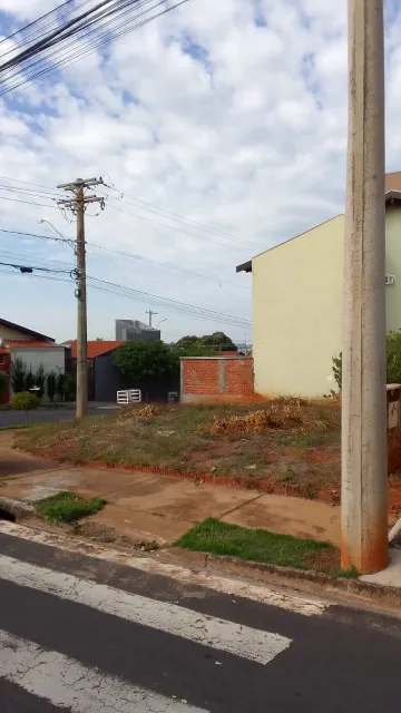 imagem 4 - Terreno - Padrão imagem 4 - Terreno - Padrão