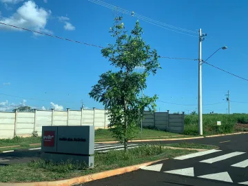 imagem 2 - Terreno - Padrão imagem 2 - Terreno - Padrão