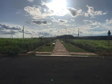 imagem 5 - Terreno - Padrão imagem 5 - Terreno - Padrão