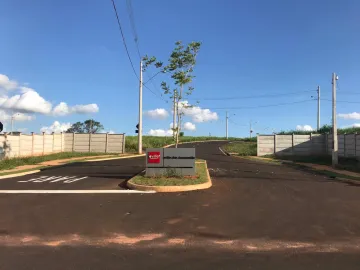 imagem 3 - Terreno - Padrão imagem 3 - Terreno - Padrão