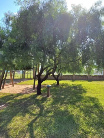 imagem 3 - Chácara à Venda, 1000m2, Areia Branca, São José do Rio Preto/SP imagem 3 - Chácara à Venda, 1000m2, Areia Branca, São José do Rio Preto/SP