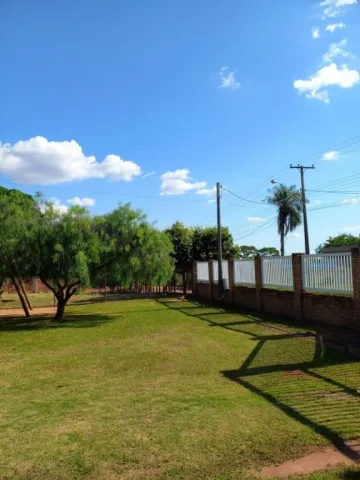 imagem 4 - Chácara à Venda, 1000m2, Areia Branca, São José do Rio Preto/SP imagem 4 - Chácara à Venda, 1000m2, Areia Branca, São José do Rio Preto/SP