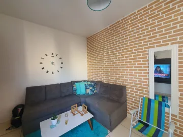 Apartamento Padrão